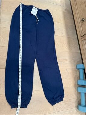 New Brandy Melville blue sweat pants